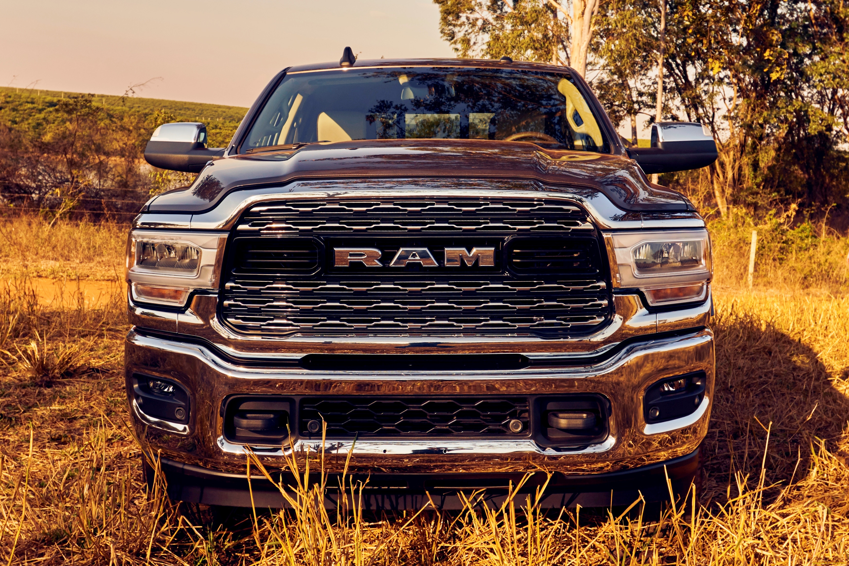 , ram